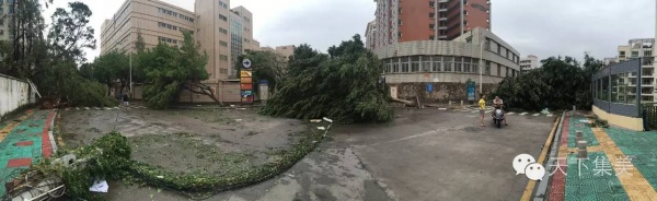 大量獨家航拍：超強臺風“莫蘭蒂”過境后，集美12小時震撼實景……