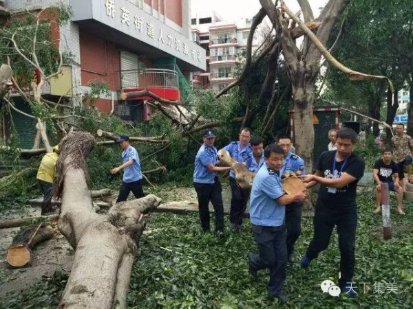 大量獨家航拍：超強臺風“莫蘭蒂”過境后，集美12小時震撼實景……