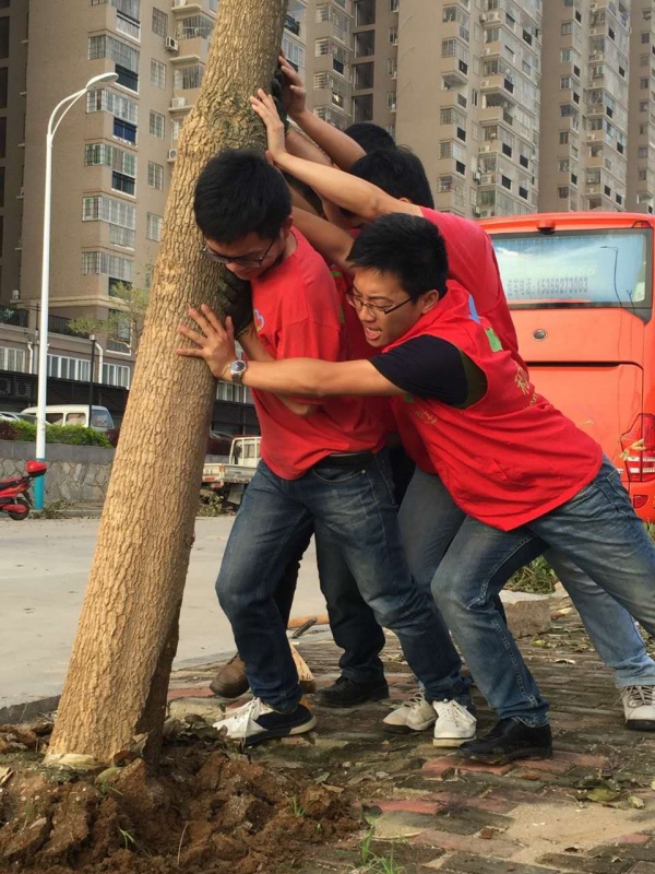 重要提示：重建家園鼓舞士氣需要您的一份力！