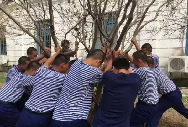 重要提示：重建家園鼓舞士氣需要您的一份力！