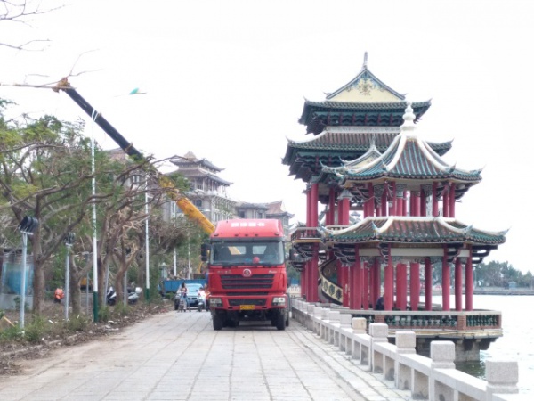 從前，學(xué)村有個(gè)地方叫石鼓路大榕樹(shù)……今天大榕樹(shù)搬家了！