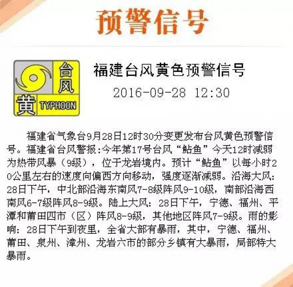 一條鲇魚淹幾座城，新臺風緊隨其后！廈門從不缺段子手...