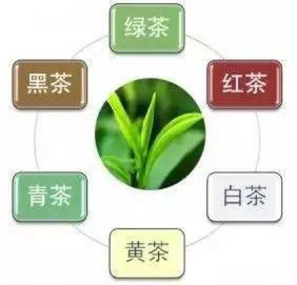 什么體質喝什么茶，絕對值得你收藏！