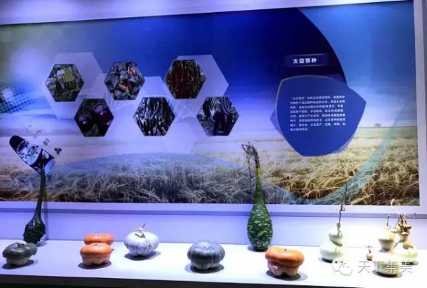 神舟十號飛船返回艙亮相集美，這次是真家伙，快來開開眼！