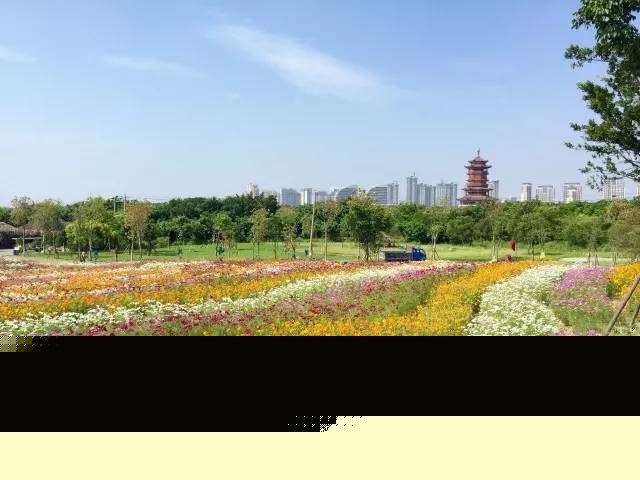 2017園博苑大改變，網(wǎng)友直呼太驚艷！