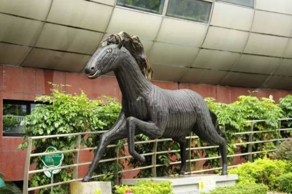 【嘩！】元旦節(jié)假期好去處：廈門風車游樂園開園了，無限量門票免費送！