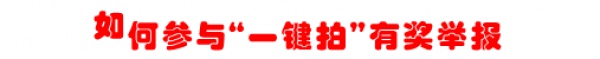 新年到！福利到！！明年1月1日起有效舉報交通違法可獲現(xiàn)金獎勵