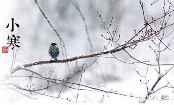 二十四節(jié)氣之小寒