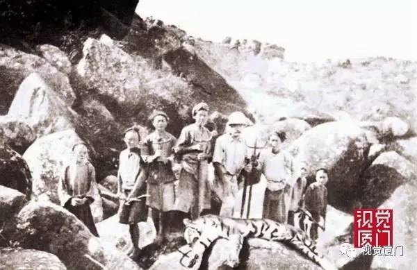 強(qiáng)烈要求恢復(fù)使用