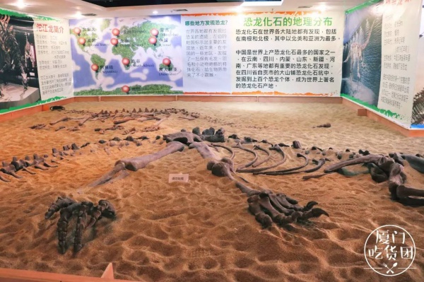嚇尿！園博苑驚現“侏羅紀公園”，恐龍復活了？！