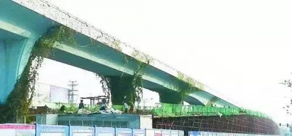 好消息丨今天12點(diǎn)，集源隧道、集美大道跨線橋開放！