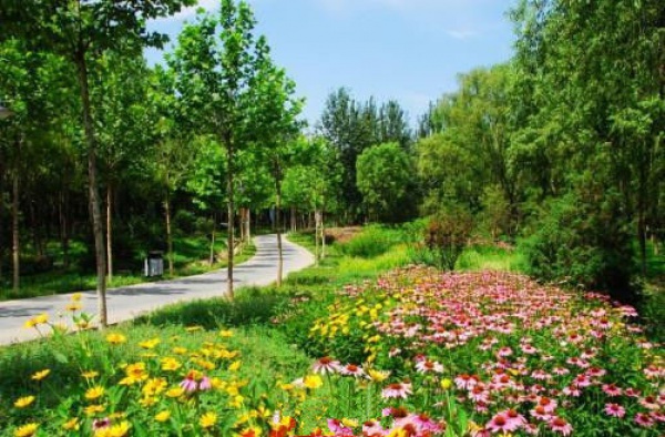 大曦山公園