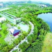 碧溪農(nóng)業(yè)公園