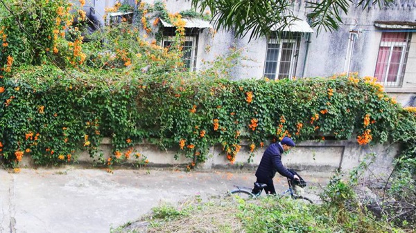 重回廈門10年前的文藝圣地，在記憶中的咖啡館虛度時光…