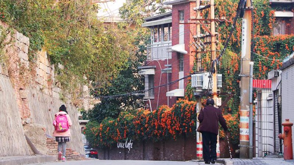重回廈門10年前的文藝圣地，在記憶中的咖啡館虛度時光…