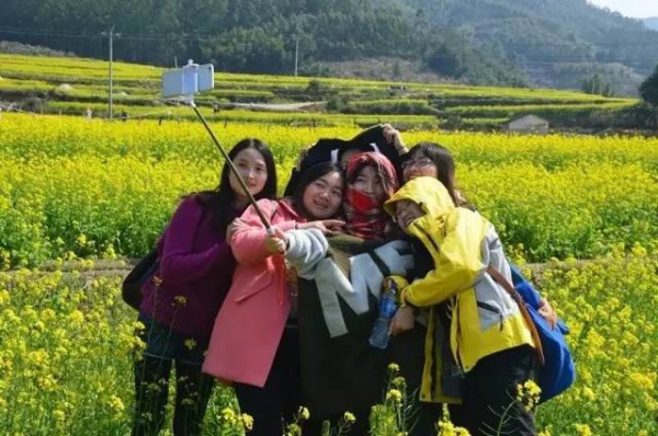 【￥99元|每周六發團】桃花島-欣賞桃花李花；古山重-艷遇最美油菜花開1日游