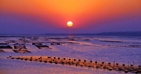 天氣這么好，周末不出門曬曬太陽(yáng)，感受一下春意盎然的翔安嗎？