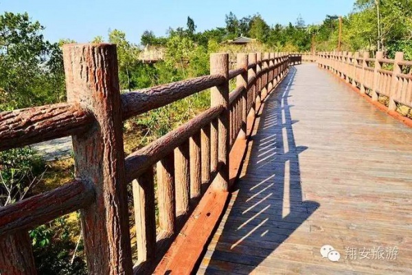 天氣這么好，周末不出門曬曬太陽(yáng)，感受一下春意盎然的翔安嗎？