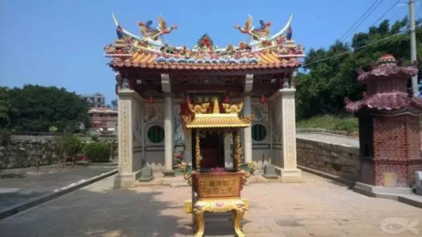天氣這么好，周末不出門曬曬太陽(yáng)，感受一下春意盎然的翔安嗎？