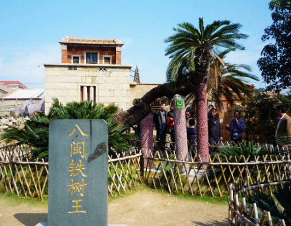 天氣這么好，周末不出門曬曬太陽(yáng)，感受一下春意盎然的翔安嗎？