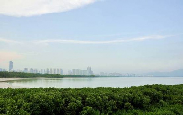 廈門(mén)紅樹(shù)林濕地公園