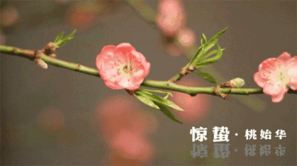 廈門女孩著涼感冒后變得嘴角歪斜，醫(yī)生說這個病近期高發(fā)，更可怕的還有……