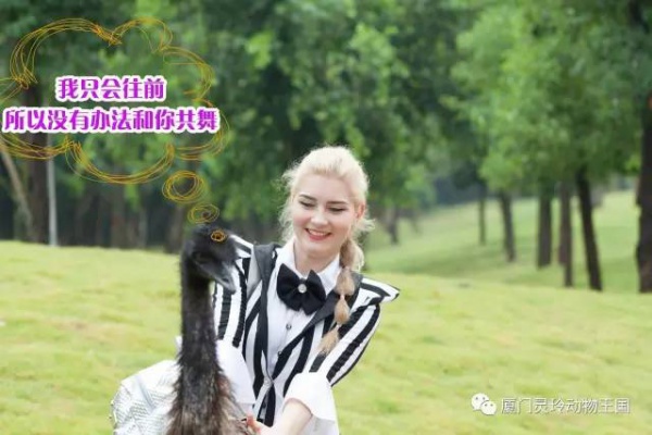 探索新奇的動(dòng)物知識(shí)和傳統(tǒng)的古龍醬文化，來(lái)場(chǎng)一日游吧！