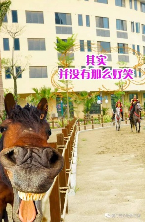 探索新奇的動(dòng)物知識(shí)和傳統(tǒng)的古龍醬文化，來(lái)場(chǎng)一日游吧！