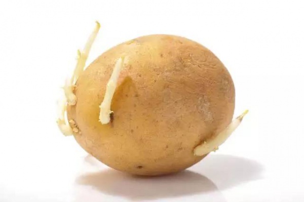 這8種常吃的食品不注意會中毒！不只四季豆和黃花菜，竟然還有…