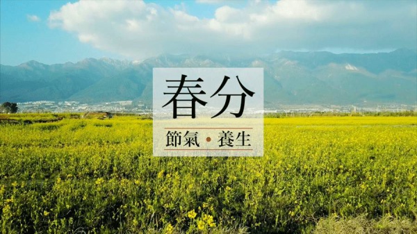 春分丨廈門(mén)要正式進(jìn)入雨季了！想要春游有哪些地方可以選擇呢？
