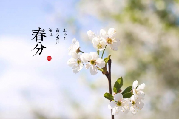 春分丨廈門(mén)要正式進(jìn)入雨季了！想要春游有哪些地方可以選擇呢？