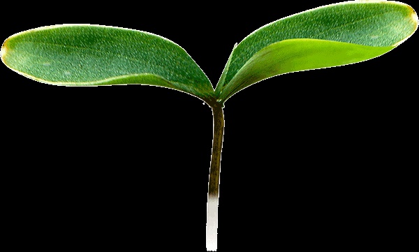 春分丨廈門(mén)要正式進(jìn)入雨季了！想要春游有哪些地方可以選擇呢？