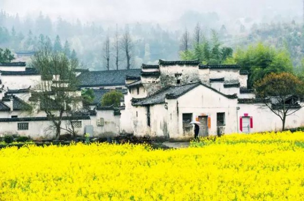 春分丨廈門(mén)要正式進(jìn)入雨季了！想要春游有哪些地方可以選擇呢？