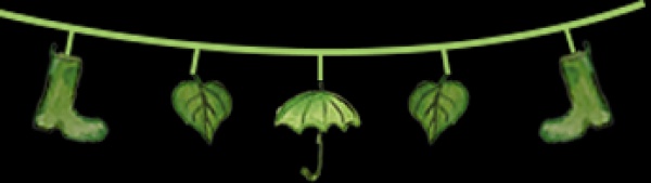 春分丨廈門(mén)要正式進(jìn)入雨季了！想要春游有哪些地方可以選擇呢？