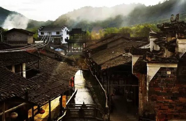春分丨廈門(mén)要正式進(jìn)入雨季了！想要春游有哪些地方可以選擇呢？