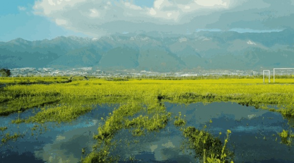 春分丨廈門(mén)要正式進(jìn)入雨季了！想要春游有哪些地方可以選擇呢？