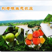 劉老根生態(tài)休閑農(nóng)莊