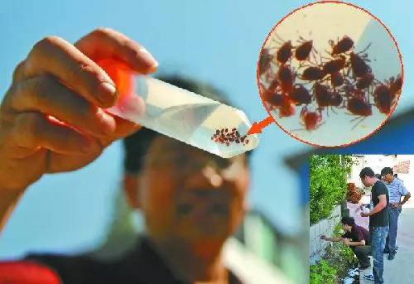 重要提醒：這些病廈門已經進入高發季，治療不及時可能喪命！