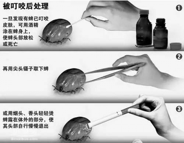 重要提醒：這些病廈門已經進入高發季，治療不及時可能喪命！