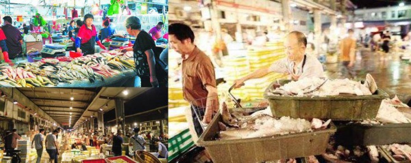 廈門人必備手冊(cè)！老漁民寫的海鮮年歷，教你怎么應(yīng)季吃海鮮！