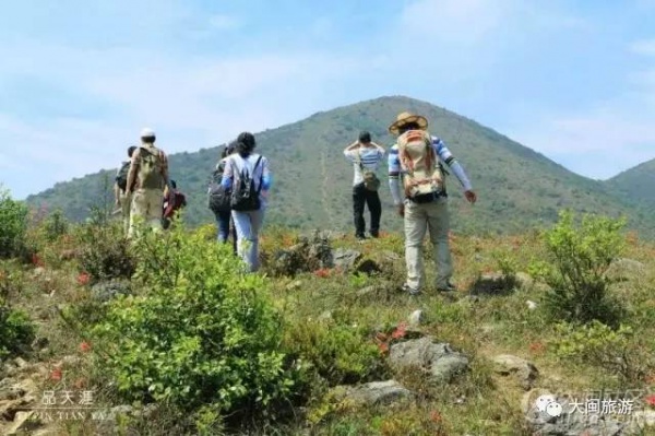去玩|廈門云頂山火了！原因竟是因?yàn)橛成郊t又雙叒叕紅了...