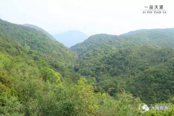 去玩|廈門云頂山火了！原因竟是因?yàn)橛成郊t又雙叒叕紅了...