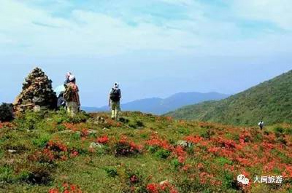去玩|廈門云頂山火了！原因竟是因?yàn)橛成郊t又雙叒叕紅了...