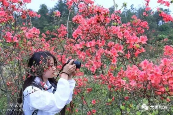 去玩|廈門云頂山火了！原因竟是因?yàn)橛成郊t又雙叒叕紅了...