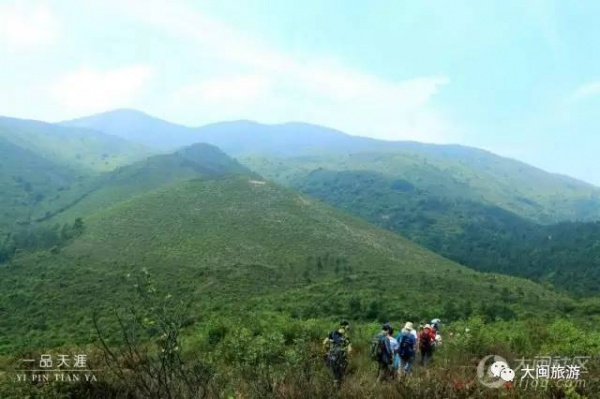 去玩|廈門云頂山火了！原因竟是因?yàn)橛成郊t又雙叒叕紅了...