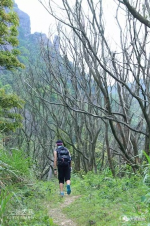 去玩|廈門云頂山火了！原因竟是因?yàn)橛成郊t又雙叒叕紅了...
