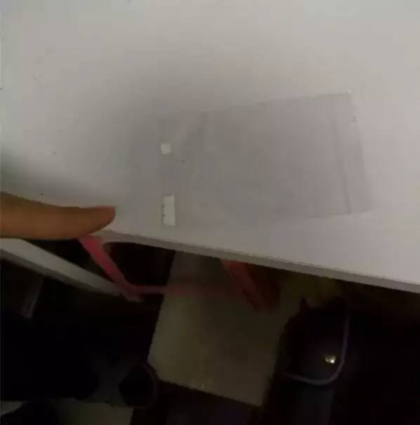 警惕！看到這種“郵票”千萬別碰，毒性極強還會通過皮膚吸收