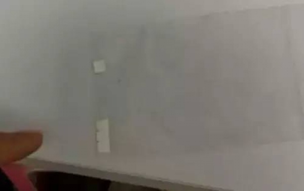 警惕！看到這種“郵票”千萬別碰，毒性極強還會通過皮膚吸收
