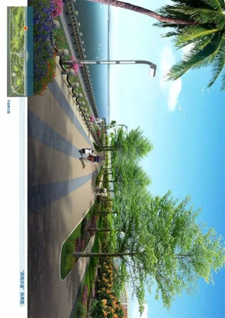 馬鑾灣新城顏值又逆天！打造龍形濕地公園、四季花林，美得讓你目瞪口呆！