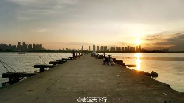 羨慕之極丨千與千尋里的海上列車竟然真的有，廈門人民有福了~